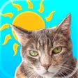 プログラムのアイコン：Sunkitty