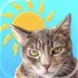 Ikon program: Sunkitty