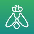ไอคอนของโปรแกรม: Greenfly