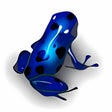 Icône du programme : Vuze