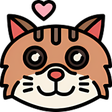 ไอคอนของโปรแกรม: Meow VPN