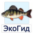 Programikonen: EcoGuide: Russian Wild Fi…