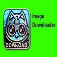 Icona del programma: Image Downloader