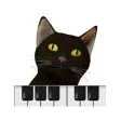 Cat Piano Keyboard