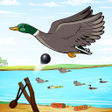 Ikon program: Sling bird hunter