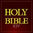 Иконка программы: KJV Bible Offline - Audio…