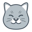 Icono de programa: Curious Cat: Paid Surveys