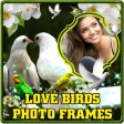 Love Birds Photo Frames