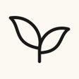 Ikon program: Purpose: Wellbeing Journa…