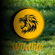 Icono de programa: Fortune Tiger