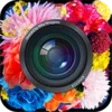 プログラムのアイコン：cameran 蜷川実花監修カメラ 〜極彩写真〜