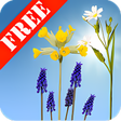 Иконка программы: Spring Meadow Free