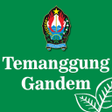 Programikonen: Temanggung Gandem Pol duk…