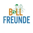 プログラムのアイコン：Ballfreunde