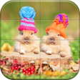 プログラムのアイコン：Lovely Pet Puzzle
