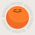 ไอคอนของโปรแกรม: Rising Proxy
