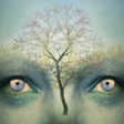 Иконка программы: Enlightenment Through Exp…