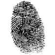 Programın simgesi: CNS Tap Test