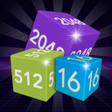 Programikonen: 2048 - 2248 Cube Winner P…