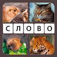 Icon of program: 4 Картинки 1 Слово: Увлечение