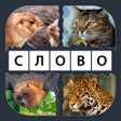 ไอคอนของโปรแกรม: 4 Картинки 1 Слово: Увлеч…