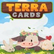 Programın simgesi: Terracards