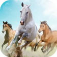 Programikonen: Horses Live Wallpaper