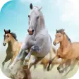 Horses Live Wallpaper