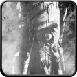 Programın simgesi: Zombie Hunt 3D