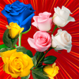 أيقونة البرنامج: Rosas de Colores Para Ded…