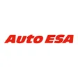 程序图标：Auto ESA