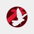 Programikonen: SBN NOW