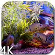 プログラムのアイコン：Aquarium Video Wallpaper