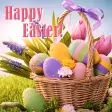 Cute Theme-Happy Easter!-