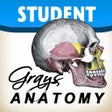 Grays Anatomy Student Edition