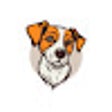 أيقونة البرنامج: Random Dog New Tab