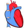 Programikonen: Cardiology