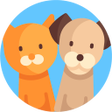 Programikonen: Are you a dog or a cat Te…