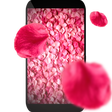 Programikonen: Petals 3D live wallpaper