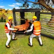 程序图标：Injured Animal Jungle Res…