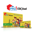 程序图标：PRO 1 Member