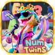 ไอคอนของโปรแกรม: Num Twins