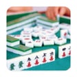程序图标：Hong Kong Style Mahjong