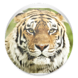 程序图标：Sawai Madhopur App