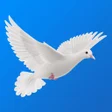Icon of program: Şans Oyunları