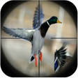Programikonen: Duck Hunting Calls