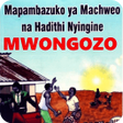 Icon of program: Mwongozo wa Chozi la Heri…