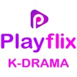 Programın simgesi: PlayFlix