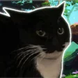 プログラムのアイコン：Maxwell The Carryable Cat