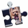 プログラムのアイコン：Yorkshire Terrier Puzzle